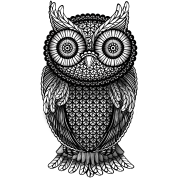 owl